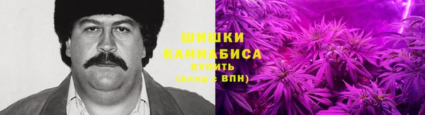 прущие крисы Бородино