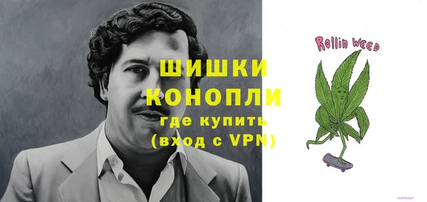 apvp Богданович