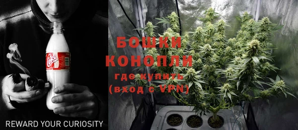 apvp Богданович
