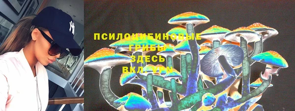 apvp Богданович