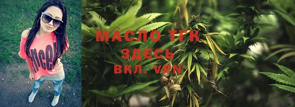 прущие крисы Бородино