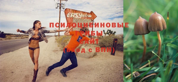 хмурый Богородск