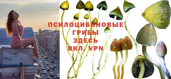 хмурый Богородск