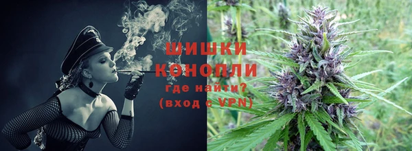 прущие крисы Бородино