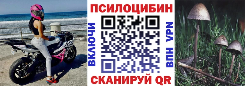 Галлюциногенные грибы прущие грибы  как найти   мориарти клад  Шелехов 
